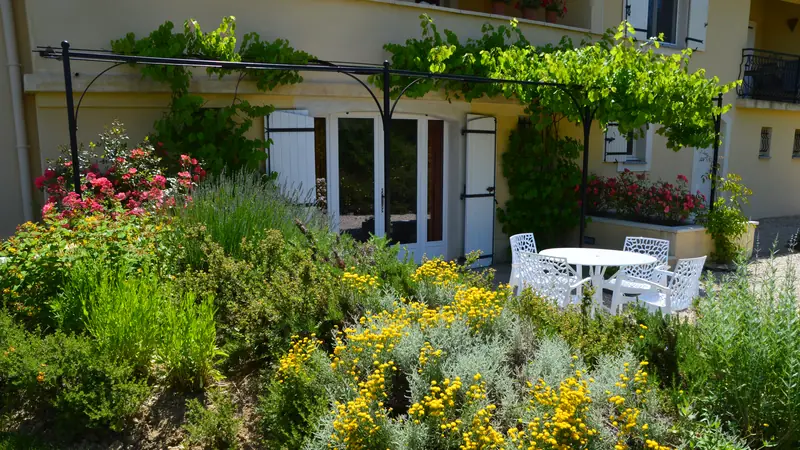 Het terras van de studio onder de pergola met druivenranken, met witte stoelen en een ronde tafel